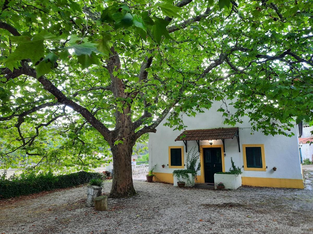 Montejunto Villas - Casa Do Platano Cadaval エクステリア 写真