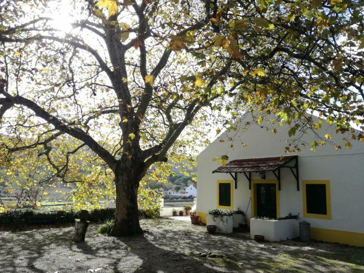 Montejunto Villas - Casa Do Platano Cadaval エクステリア 写真