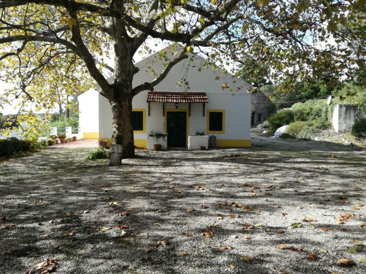 Montejunto Villas - Casa Do Platano Cadaval エクステリア 写真