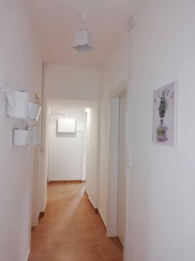 Montejunto Villas - Casa Do Platano Cadaval エクステリア 写真